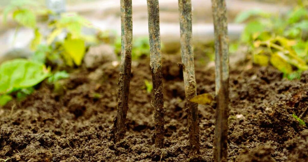 Soil in Your Own Backyard